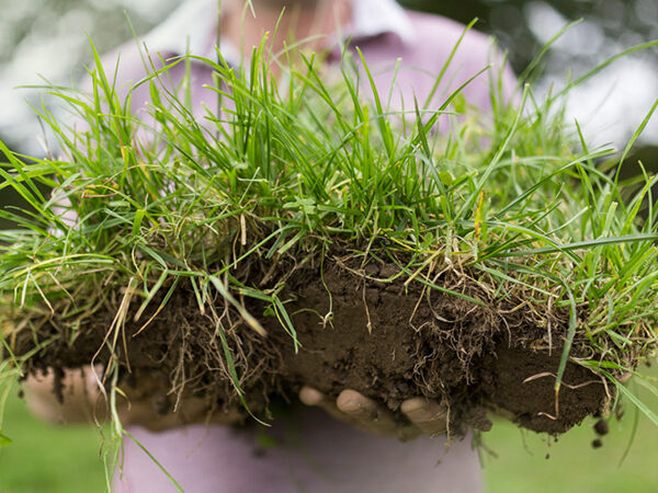 A man holding a sod of grass up the the camera