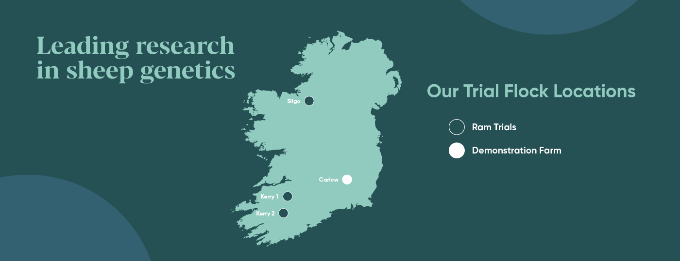 Irish Country Meats - Trial Flock Locations