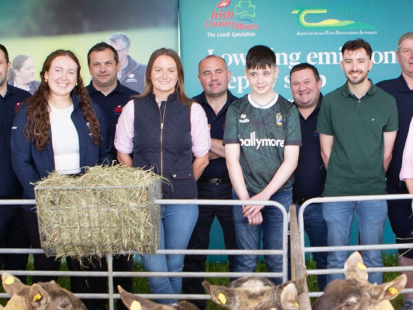 Flocks of the future Irish Country Meats